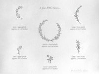 png • svg • eps → Floral Wreath Graphics Set of 23 Elements (Free for commercial use included)