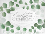 PNG → Eucalyptus Watercolour Graphics Set of 5 Elements (Free for commercial use included)