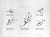 png • svg • eps • dxf → Leafy Wreath Graphics Set of 10 Elements (Free for commercial use included)