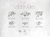 PNG → Rustic Roses Watercolour Graphics Set of 10 Elements, Pastel Rose Bouquets (Free for commercial use included)